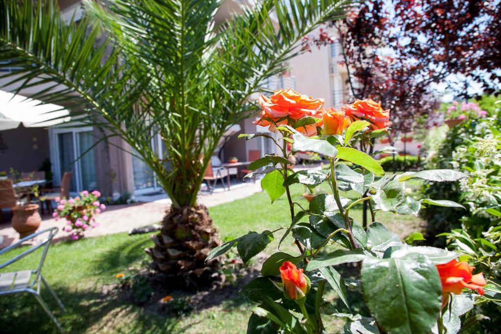 Apartments Eleni 4 Seasons Hanioti Buitenkant foto